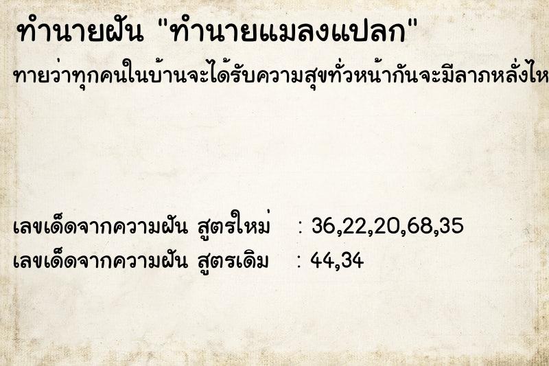 ทำนายฝัน ทำนายแมลงแปลก