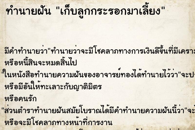 ทำนายฝัน เก็บลูกกระรอกมาเลี้ยง ทำนายฝัน เก็บลูกกระรอกมาเลี้ยง