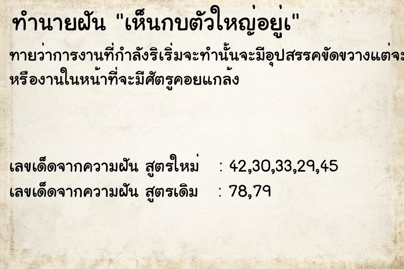 ทำนายฝันทำนายฝันเห็นกบตัวใหญ่อยู่à