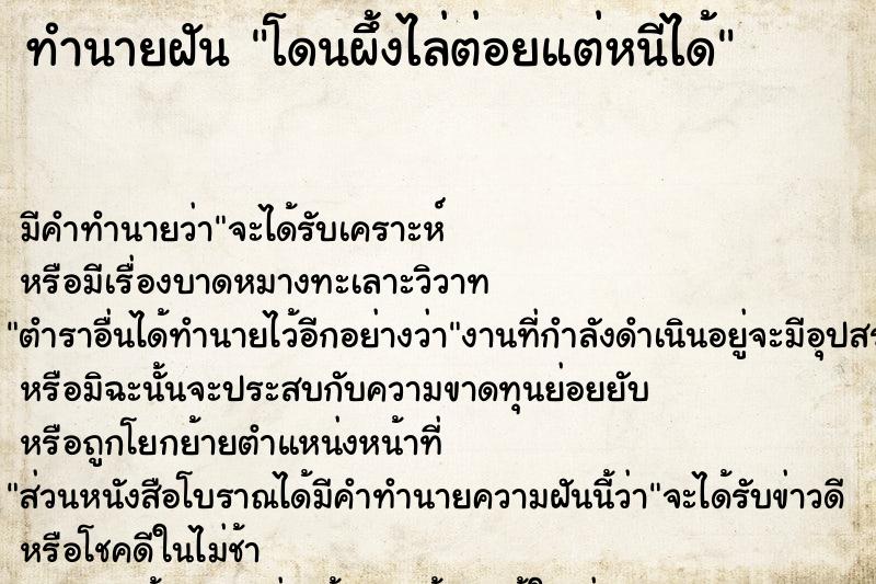 ทำนายฝันโดนผึ้งไล่ต่อยแต่หนีได้ ทำนายฝันทำนายฝันโดนผึ้งไล่ต่อยแต่หนีได้