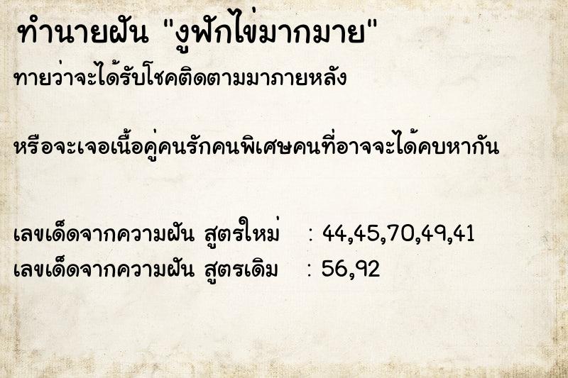 ทำนายฝันงูฟักไข่มากมาย ทำนายฝันทำนายฝันงูฟักไข่มากมาย