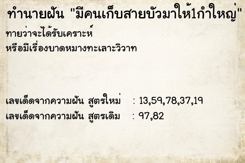 ทำนายฝันทำนายฝันมีคนเก็บสายบัวมาให้1กำใหญ่