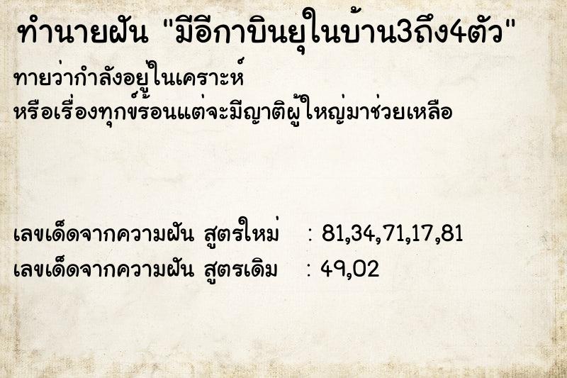 ทำนายฝัน มีอีกาบินยุในบ้าน3ถึง4ตัว ทำนายฝัน มีอีกาบินยุในบ้าน3ถึง4ตัว