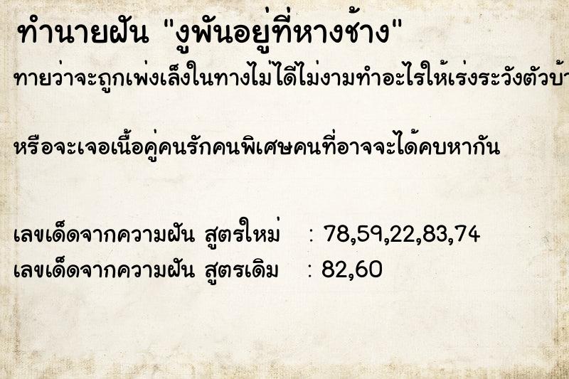 ทำนายฝันงูพันอยู่ที่หางช้าง ทำนายฝันทำนายฝันงูพันอยู่ที่หางช้าง
