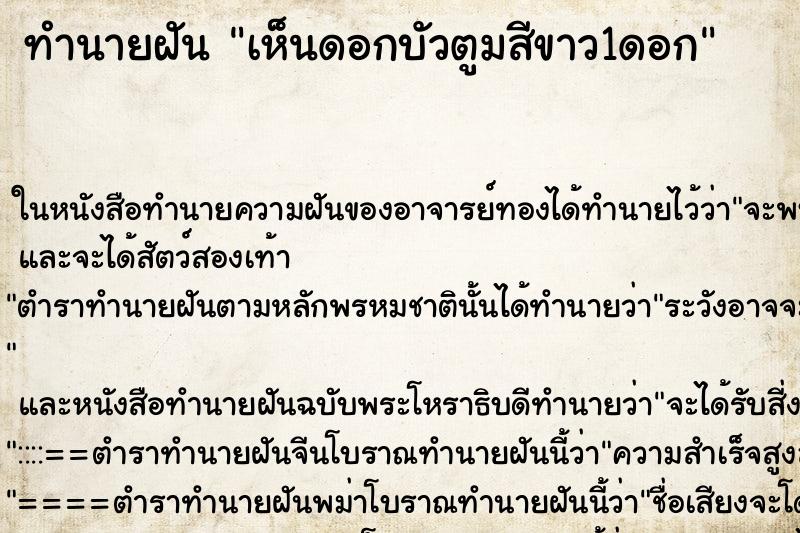 ทำนายฝัน เห็นดอกบัวตูมสีขาว1ดอก ทำนายฝัน เห็นดอกบัวตูมสีขาว1ดอก