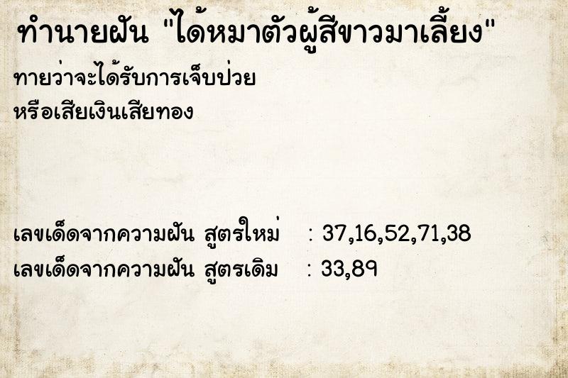 ทำนายฝันทำนายฝันได้หมาตัวผู้สีขาวมาเลี้ยง