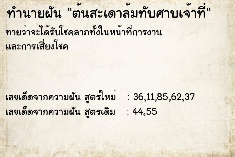 ทำนายฝันต้นสะเดาล้มทับศาบเจ้าที่ ทำนายฝันทำนายฝันต้นสะเดาล้มทับศาบเจ้าที่