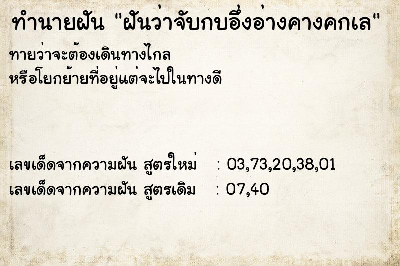 ทำนายฝัน ฝัันว่าจับกบอึ่งอ่างคางคกเล ทำนายฝัน ฝัันว่าจับกบอึ่งอ่างคางคกเล