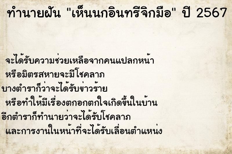 ทำนายฝันเห็นนกอินทรีจิกมือ ทำนายฝันทำนายฝันเห็นนกอินทรีจิกมือ