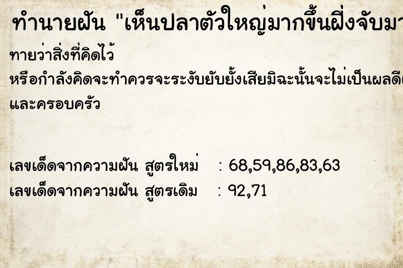 ทำนายฝันเห็นปลาตัวใหญ่มากขึ้นฝี่งจับมาได้ ทำนายฝันทำนายฝันเห็นปลาตัวใหญ่มากขึ้นฝี่งจับมาได้