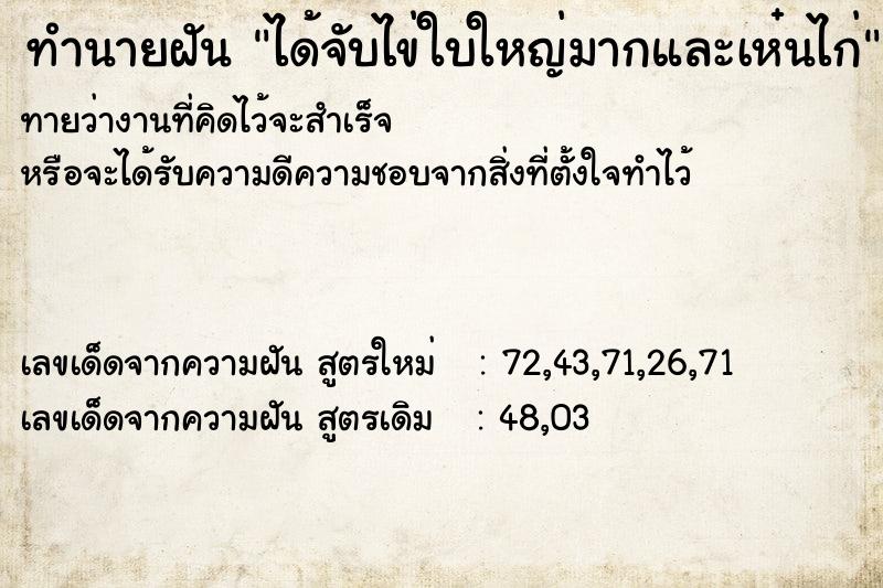 ทำนายฝันได้จับไข่ใบใหญ่มากและเห๋นไก่ ทำนายฝันทำนายฝันได้จับไข่ใบใหญ่มากและเห๋นไก่
