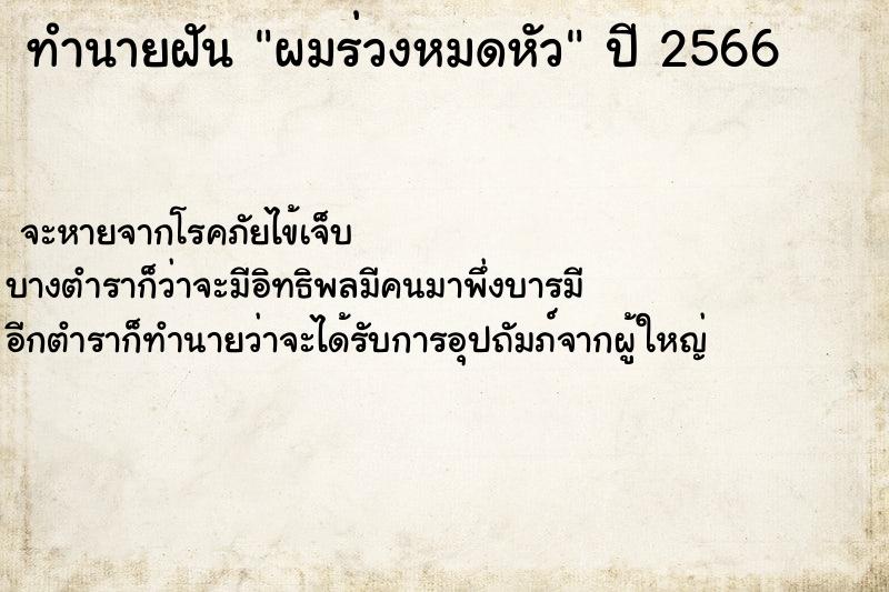 ทำนายฝัน ผมร่วงหมดหัว ทำนายฝัน ผมร่วงหมดหัว