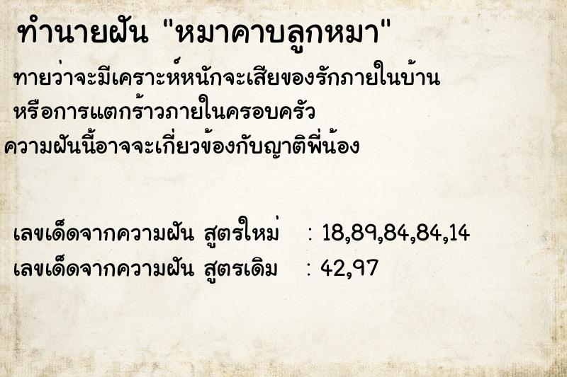 ทำนายฝันหมาคาบลูกหมา ทำนายฝันทำนายฝันหมาคาบลูกหมา