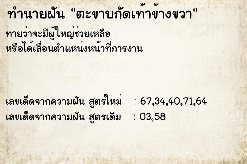 ทำนายฝันตะขาบกัดเท้าข้างขวา ทำนายฝันทำนายฝันตะขาบกัดเท้าข้างขวา