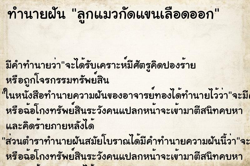 ทำนายฝันลูกแมวกัดแขนเลือดออก ทำนายฝันทำนายฝันลูกแมวกัดแขนเลือดออก