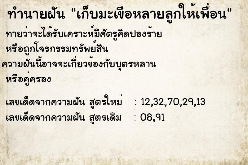 ทำนายฝันเก็บมะเขือหลายลูกให้เพื่อน ทำนายฝันทำนายฝันเก็บมะเขือหลายลูกให้เพื่อน