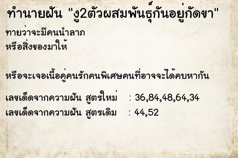 ทำนายฝันงู2ตัวผสมพันธุ์กันอยู่กัดขา ทำนายฝันทำนายฝันงู2ตัวผสมพันธุ์กันอยู่กัดขา