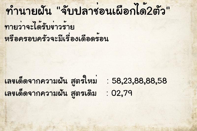 ทำนายฝันจับปลาช่อนเผือกได้2ตัว ทำนายฝันทำนายฝันจับปลาช่อนเผือกได้2ตัว