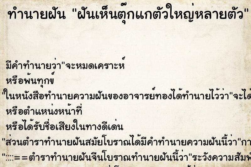ทำนายฝัน ฝันเห็นตุ๊กแกตัวใหญ่หลายตัว ทำนายฝัน ฝันเห็นตุ๊กแกตัวใหญ่หลายตัว