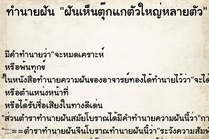 ทำนายฝัน ฝันเห็นตุ๊กแกตัวใหญ่หลายตัว ตำราโบราณ แม่นที่สุดในโลก