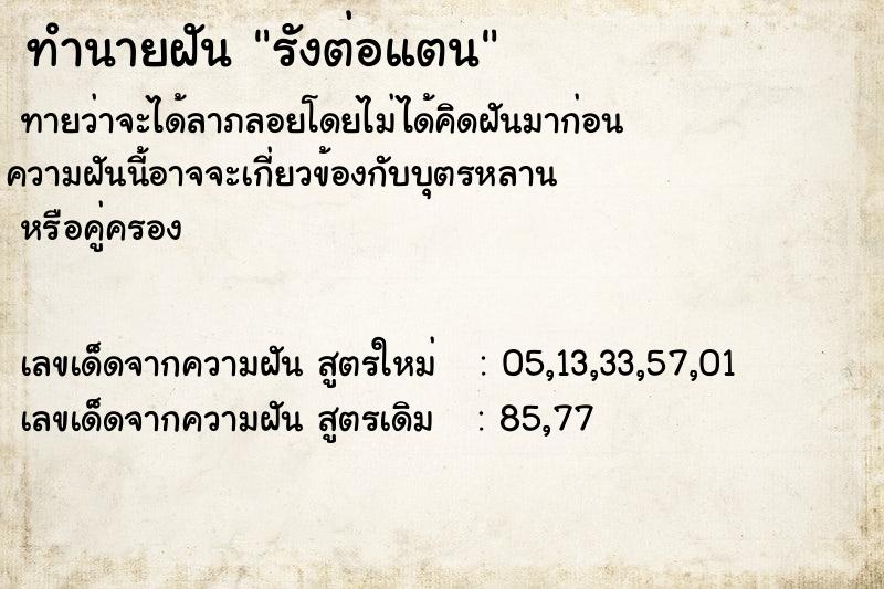 ทำนายฝันทำนายฝันรังต่อแตน