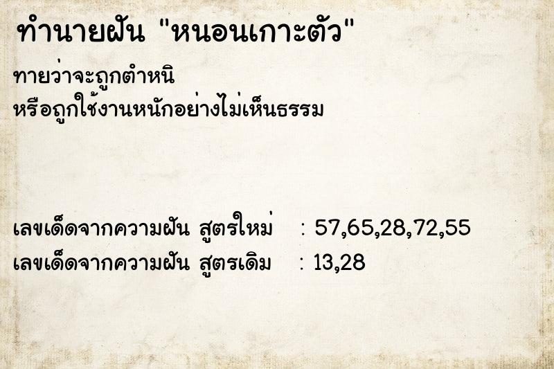 ทำนายฝัน หนอนเกาะตัว ทำนายฝัน หนอนเกาะตัว