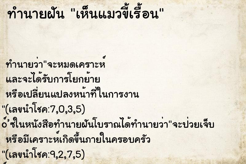 ทำนายฝัน เห็นแมวขี้เรื้อน ทำนายฝัน เห็นแมวขี้เรื้อน