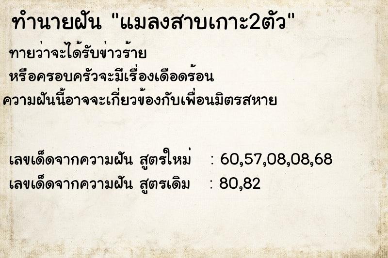 ทำนายฝันทำนายฝันแมลงสาบเกาะ2ตัว