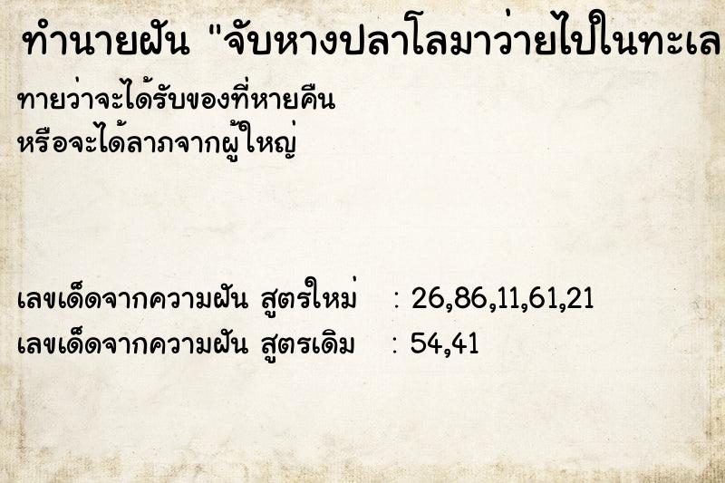 ทำนายฝันจับหางปลาโลมาว่ายไปในทะเล ทำนายฝันทำนายฝันจับหางปลาโลมาว่ายไปในทะเล