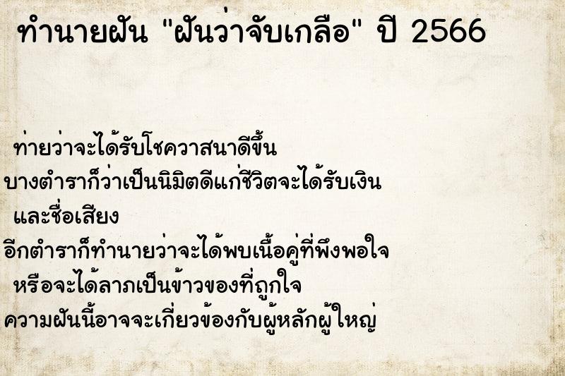 ทำนายฝันฝันว่าจับเกลือ ทำนายฝันทำนายฝันฝันว่าจับเกลือ