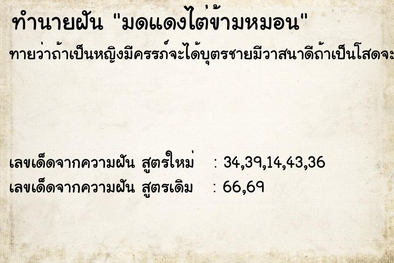 ทำนายฝันทำนายฝันมดแดงไต่ข้ามหมอน