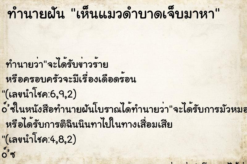 ทำนายฝัน เห็นแมวดำบาดเจ็บมาหา ทำนายฝัน เห็นแมวดำบาดเจ็บมาหา