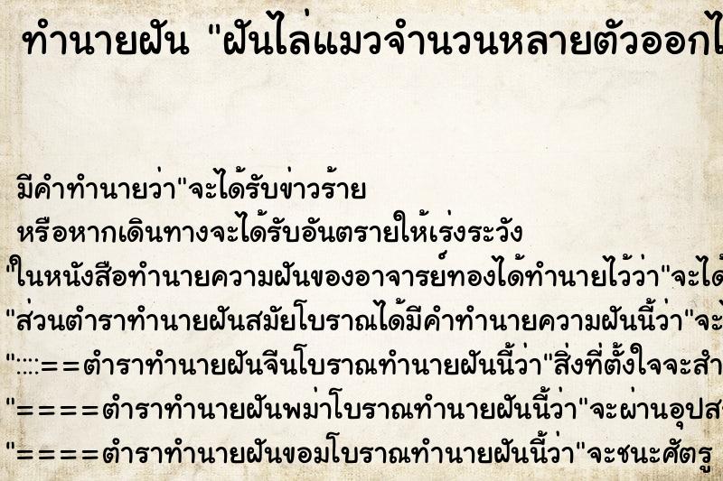 ทำนายฝันทำนายฝันฝันไล่แมวจำนวนหลายตัวออกไป