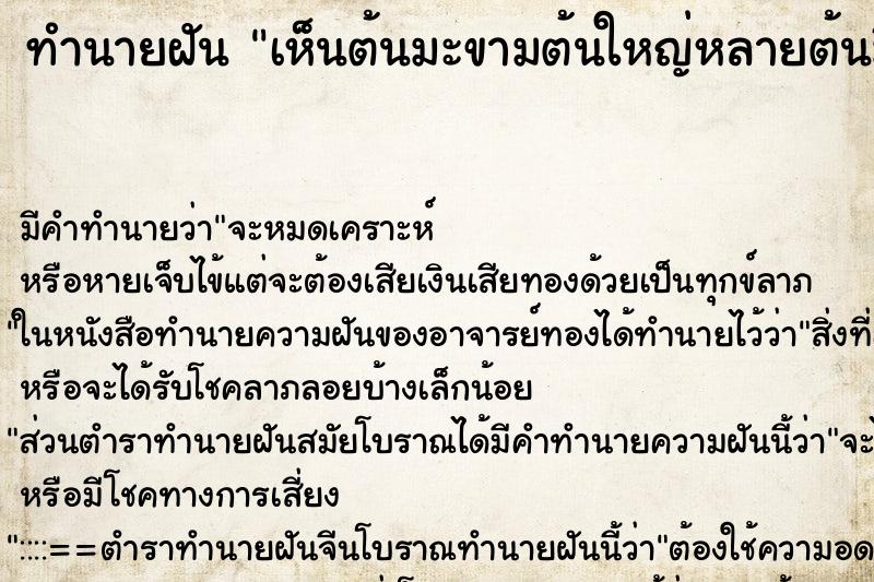 ทำนายฝันเห็นต้นมะขามต้นใหญ่หลายต้นมีฝักมะขามเติมไปหมด ทำนายฝันทำนายฝันเห็นต้นมะขามต้นใหญ่หลายต้นมีฝักมะขามเติมไปหมด