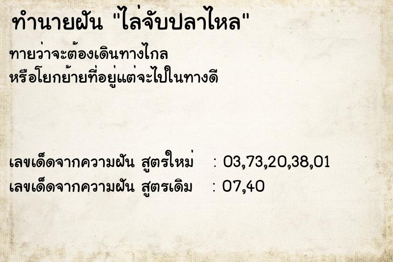 ทำนายฝันทำนายฝันไล่จับปลาไหล