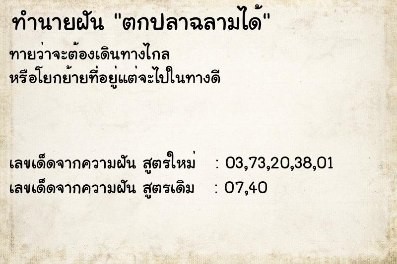 ทำนายฝันทำนายฝันตกปลาฉลามได้