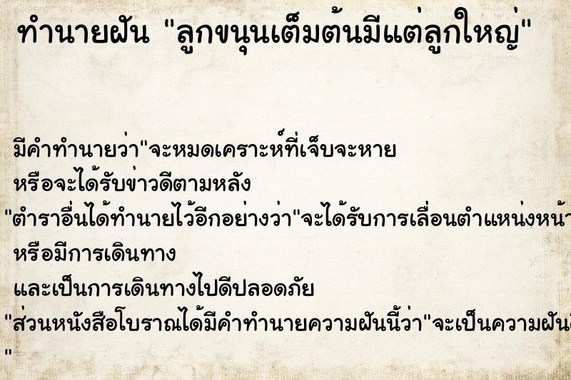 ทำนายฝันทำนายฝันลูกขนุนเต็มต้นมีแต่ลูกใหญ่