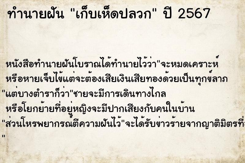 ทำนายฝัน เก็บเห็ดปลวก ทำนายฝัน เก็บเห็ดปลวก