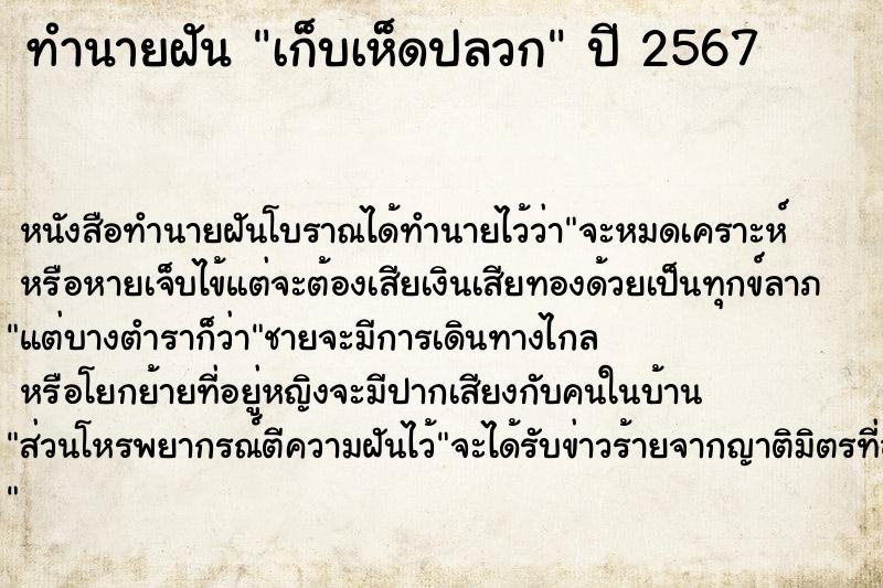 ทำนายฝัน เก็บเห็ดปลวก ตำราโบราณ แม่นที่สุดในโลก