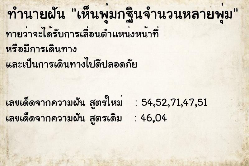 ทำนายฝัน เห็นพุ่มกฐินจำนวนหลายพุ่ม ทำนายฝัน เห็นพุ่มกฐินจำนวนหลายพุ่ม