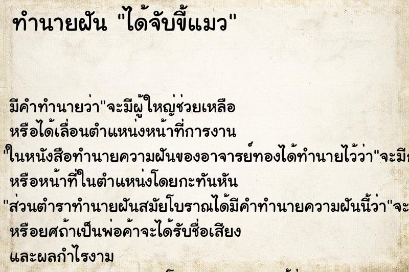 ทำนายฝัน ได้จับขี้แมว ทำนายฝัน ได้จับขี้แมว