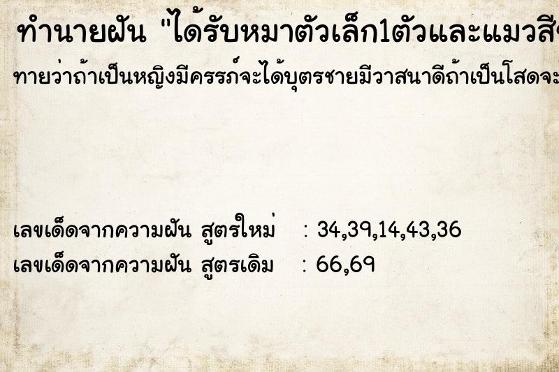 ทำนายฝันทำนายฝันได้รับหมาตัวเล็ก1ตัวและแมวสีขาวตัวเล็กมาก6ตัว