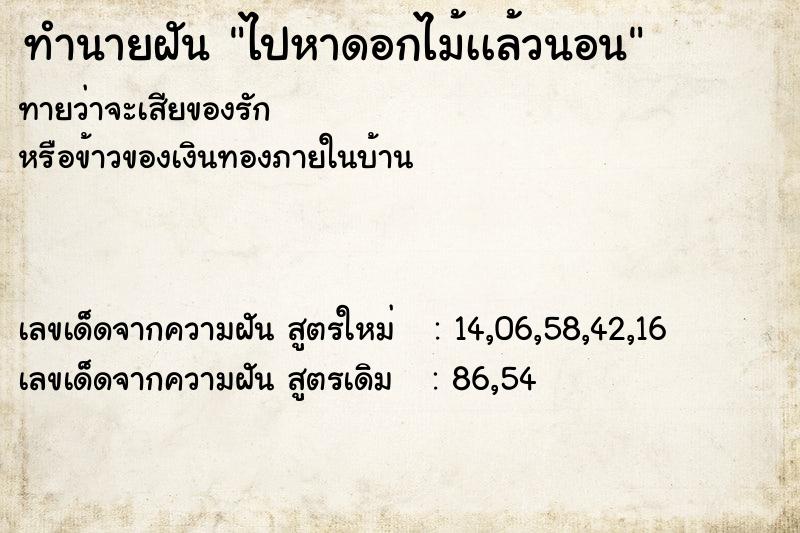 ทำนายฝันไปหาดอกไม้เเล้วนอน ทำนายฝันทำนายฝันไปหาดอกไม้เเล้วนอน