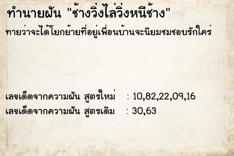 ทำนายฝันช้างวิ่งไล่วิ่งหนีช้าง ทำนายฝันทำนายฝันช้างวิ่งไล่วิ่งหนีช้าง