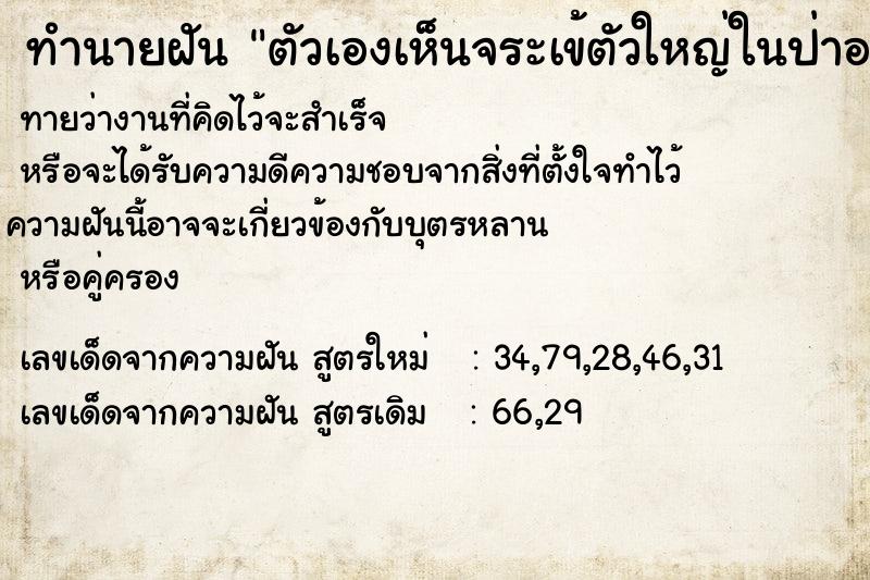 ทำนายฝันทำนายฝันตัวเองเห็นจระเข้ตัวใหญ่ในป่าอนุรักษ์