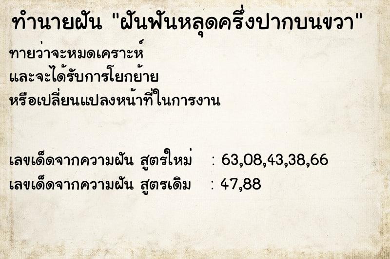 ทำนายฝันฝันฟันหลุดครึ่งปากบนขวา ทำนายฝันทำนายฝันฝันฟันหลุดครึ่งปากบนขวา