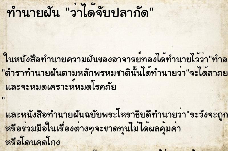 ทำนายฝัน ว่าได้จับปลากัด ทำนายฝัน ว่าได้จับปลากัด