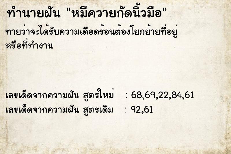 ทำนายฝัน หมีควายกัดนิ้วมือ ทำนายฝัน หมีควายกัดนิ้วมือ