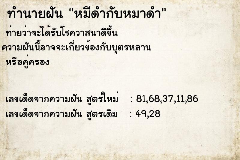 ทำนายฝันหมีดำกับหมาดำ ทำนายฝันทำนายฝันหมีดำกับหมาดำ