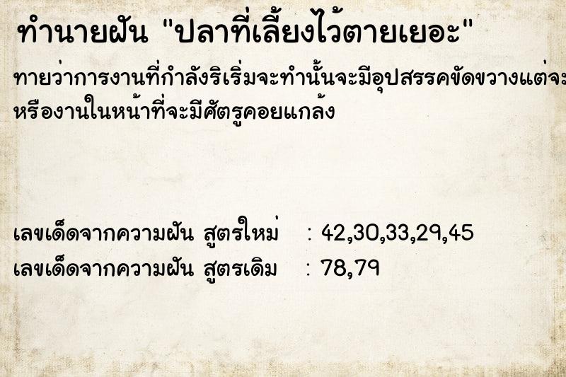 ทำนายฝันทำนายฝันปลาที่เลี้ยงไว้ตายเยอะ